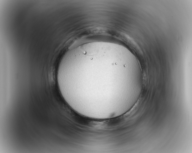 X0000093520170200711021052