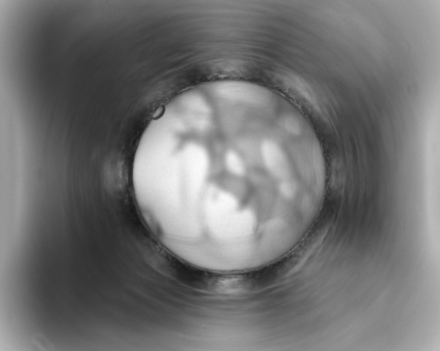 X0000093520173200711021052