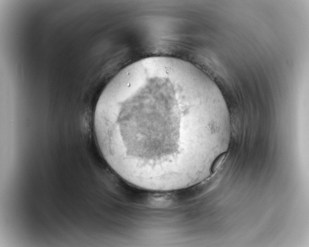 X0000093520175200711021052