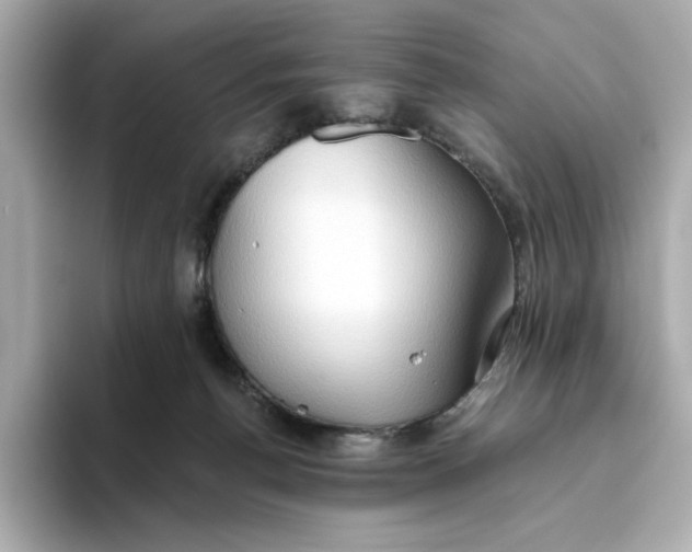 X0000093520176200711021052