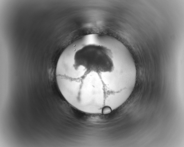 X0000093520177200711021052