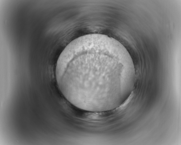 X0000093520182200711021052