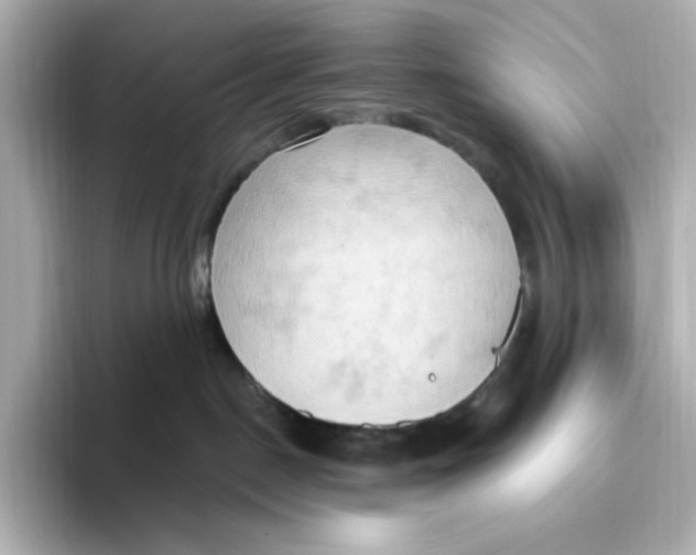 X0000093520190200711021053