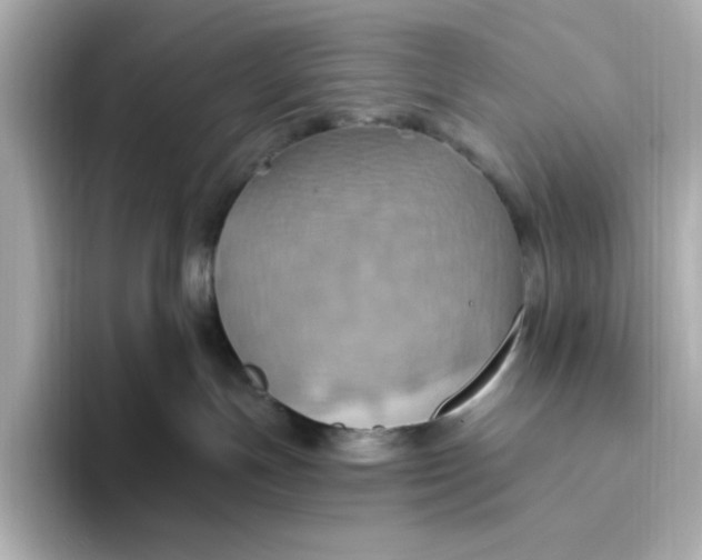 X0000093520191200711021053