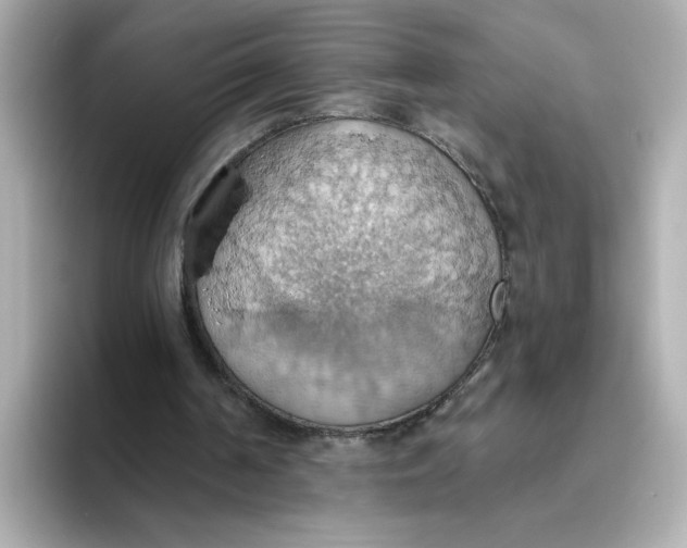 X0000093520194200711021052