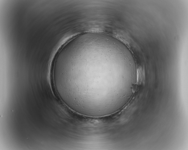 X0000093520195200711021052