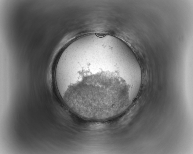 X0000093520198200711021052