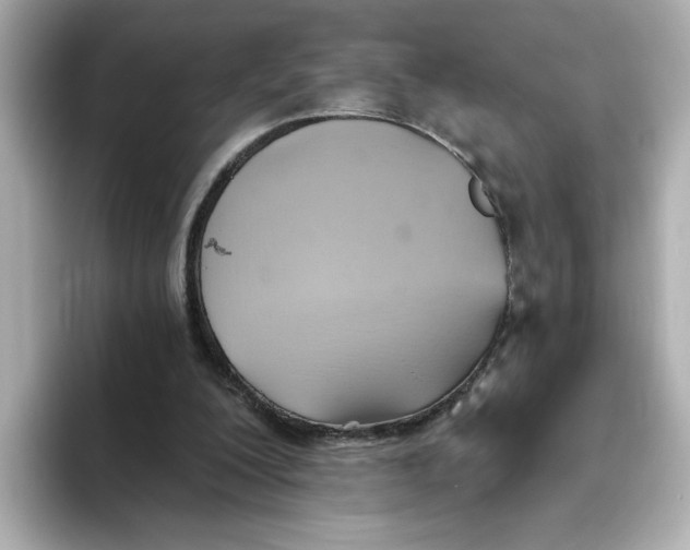 X0000093520200200711021052