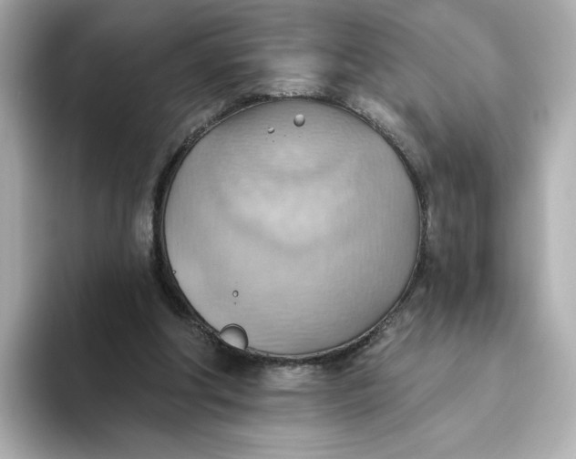 X0000093520202200711021052