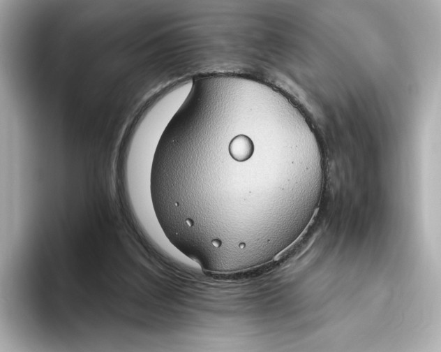 X0000093520203200711021052