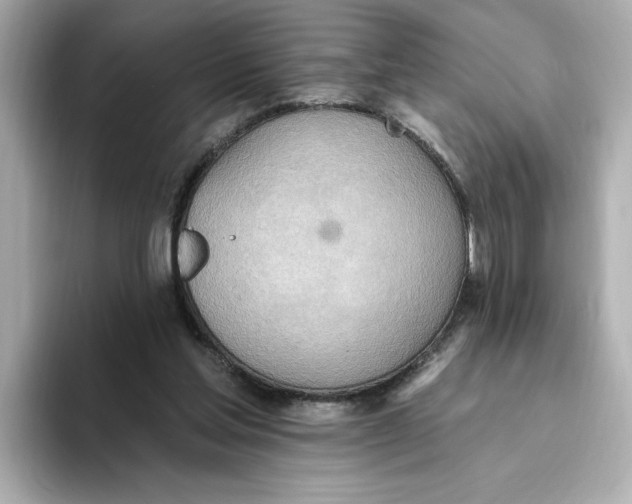 X0000093520205200711021052