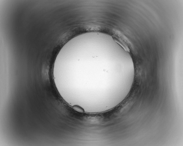 X0000093520209200711021052