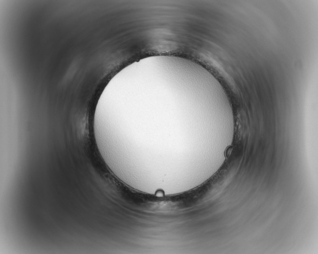 X0000093520212200711021052