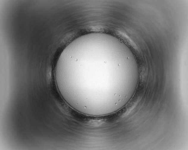 X0000093520213200711021052