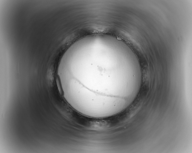 X0000093520215200711021052