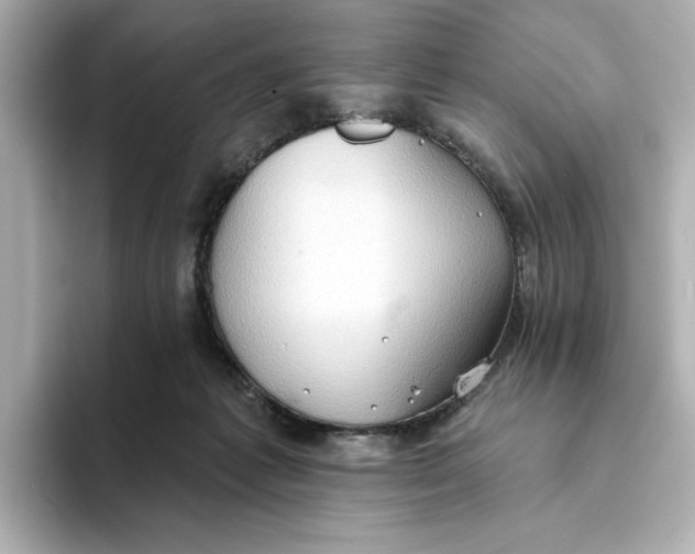 X0000093520221200711021052