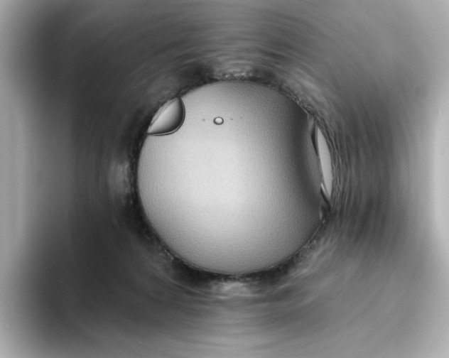 X0000093520224200711021052