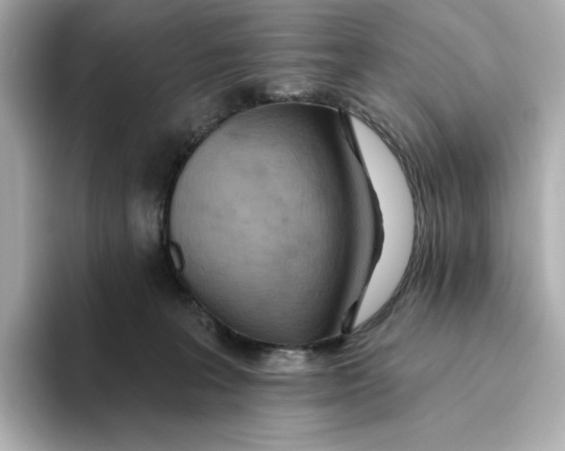 X0000093520227200711021052