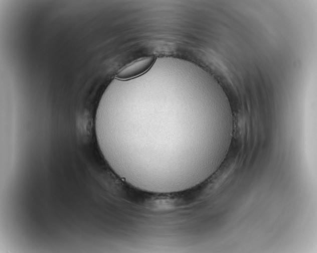 X0000093520228200711021052