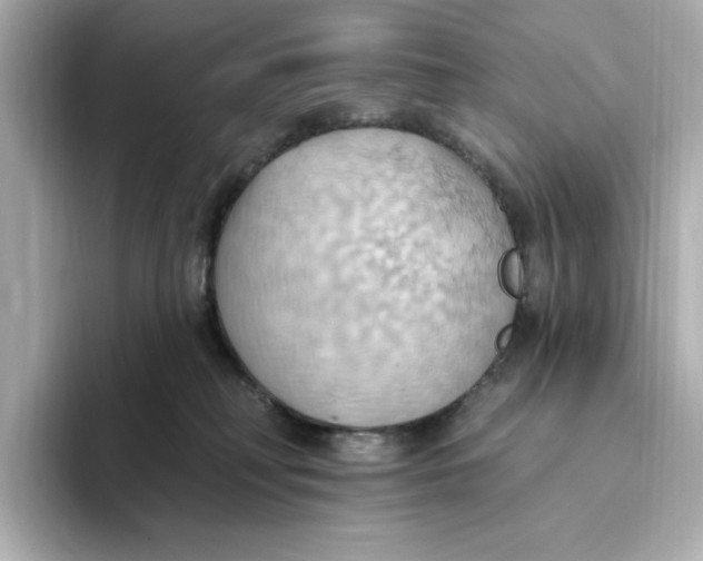 X0000093520230200711021052