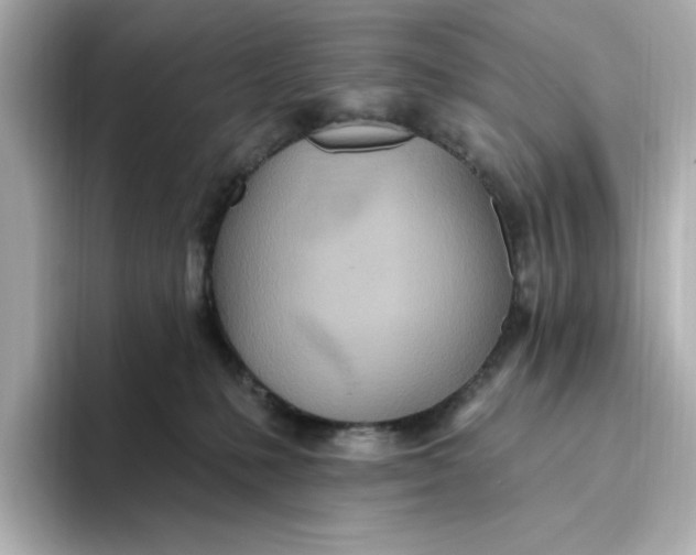 X0000093520231200711021052