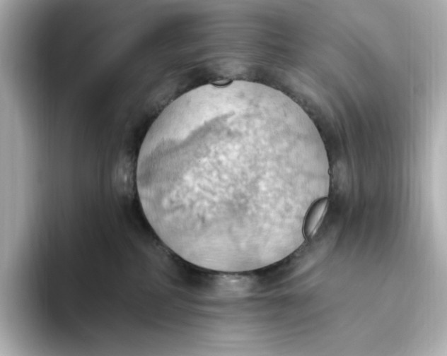 X0000093520234200711021052