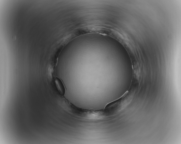 X0000093520235200711021052