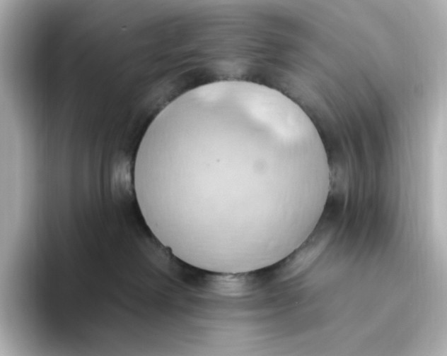 X0000093520238200711021052