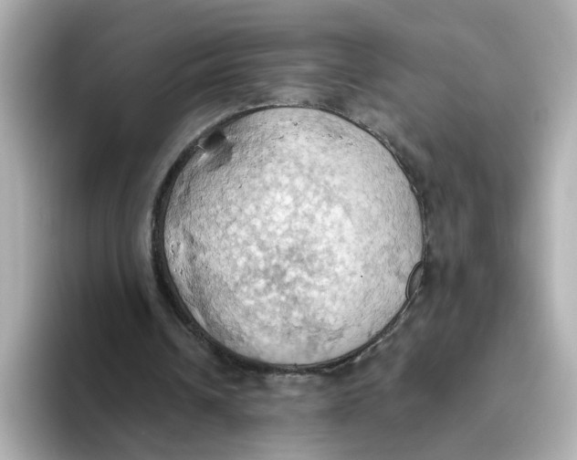 X0000093520242200711021051