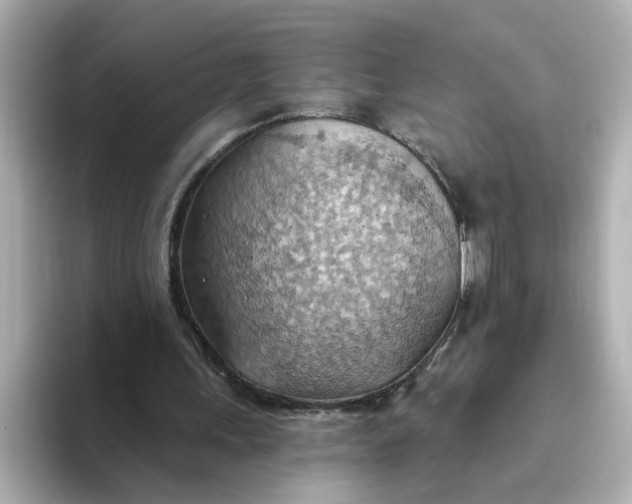 X0000093520243200711021051