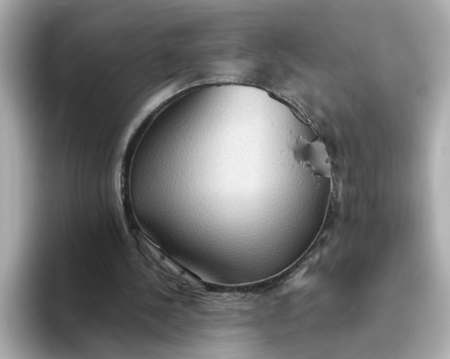 X0000093520244200711021051