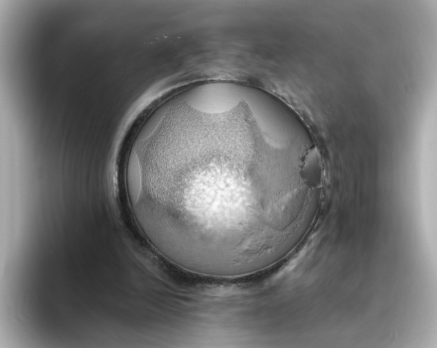 X0000093520246200711021051