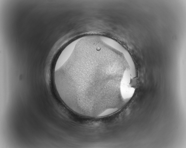 X0000093520247200711021051