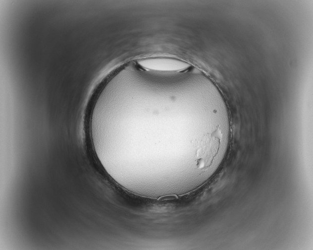 X0000093520248200711021051