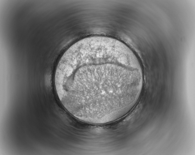 X0000093520249200711021051