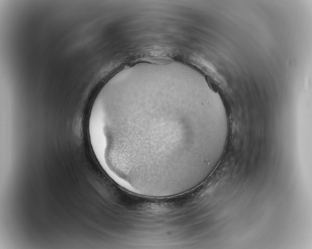 X0000093520250200711021051