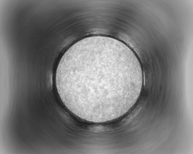 X0000093520253200711021051