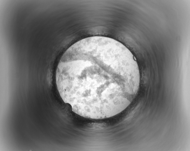 X0000093520255200711021051