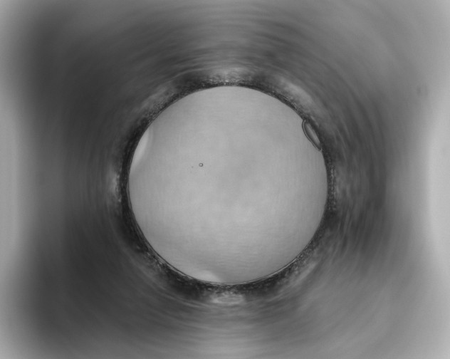 X0000093520258200711021051