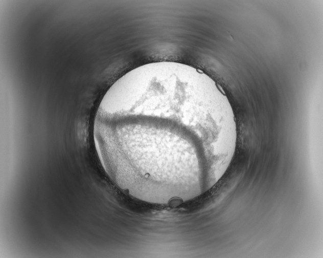 X0000093520259200711021051