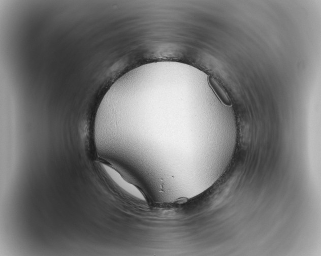 X0000093520260200711021051