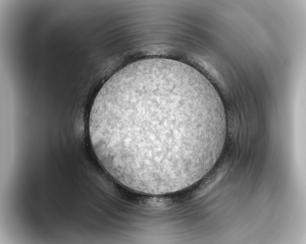 X0000093520261200711021051