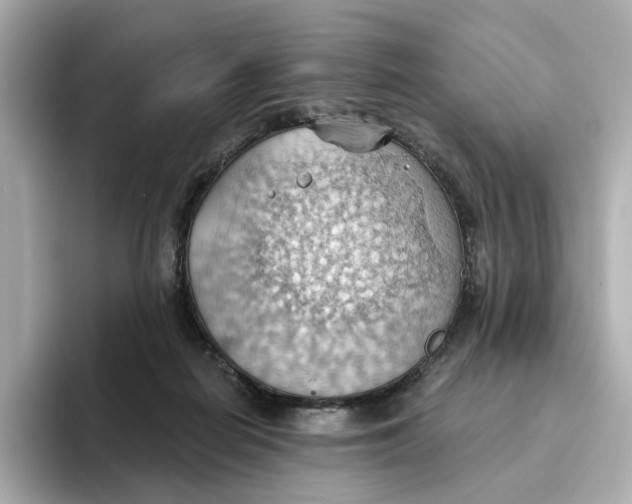 X0000093520266200711021051