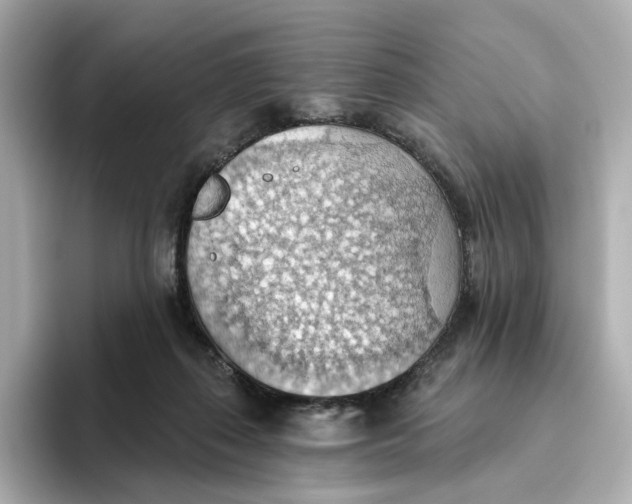 X0000093520267200711021051