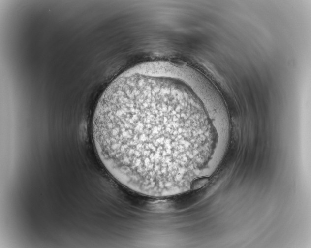 X0000093520269200711021051