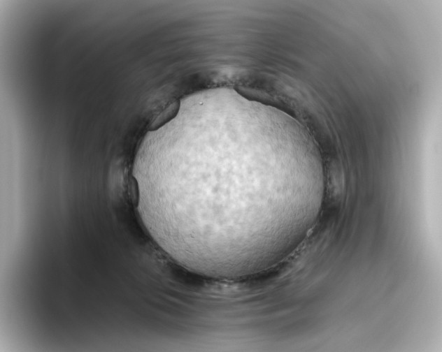 X0000093520276200711021051