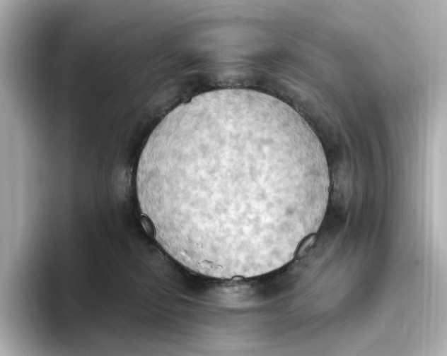 X0000093520278200711021051