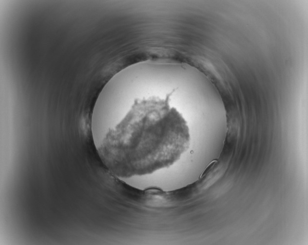 X0000093520285200711021051