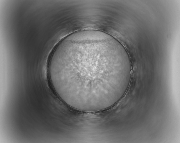 X0000093520290200711021051