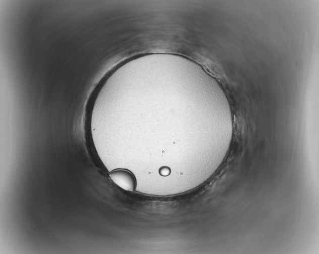 X0000093520292200711021051